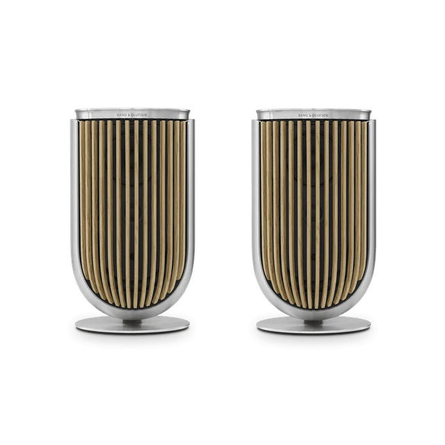 BANG & OLUFSEN Beolab 8 – Natūralus aliuminis, Stalinis stovas