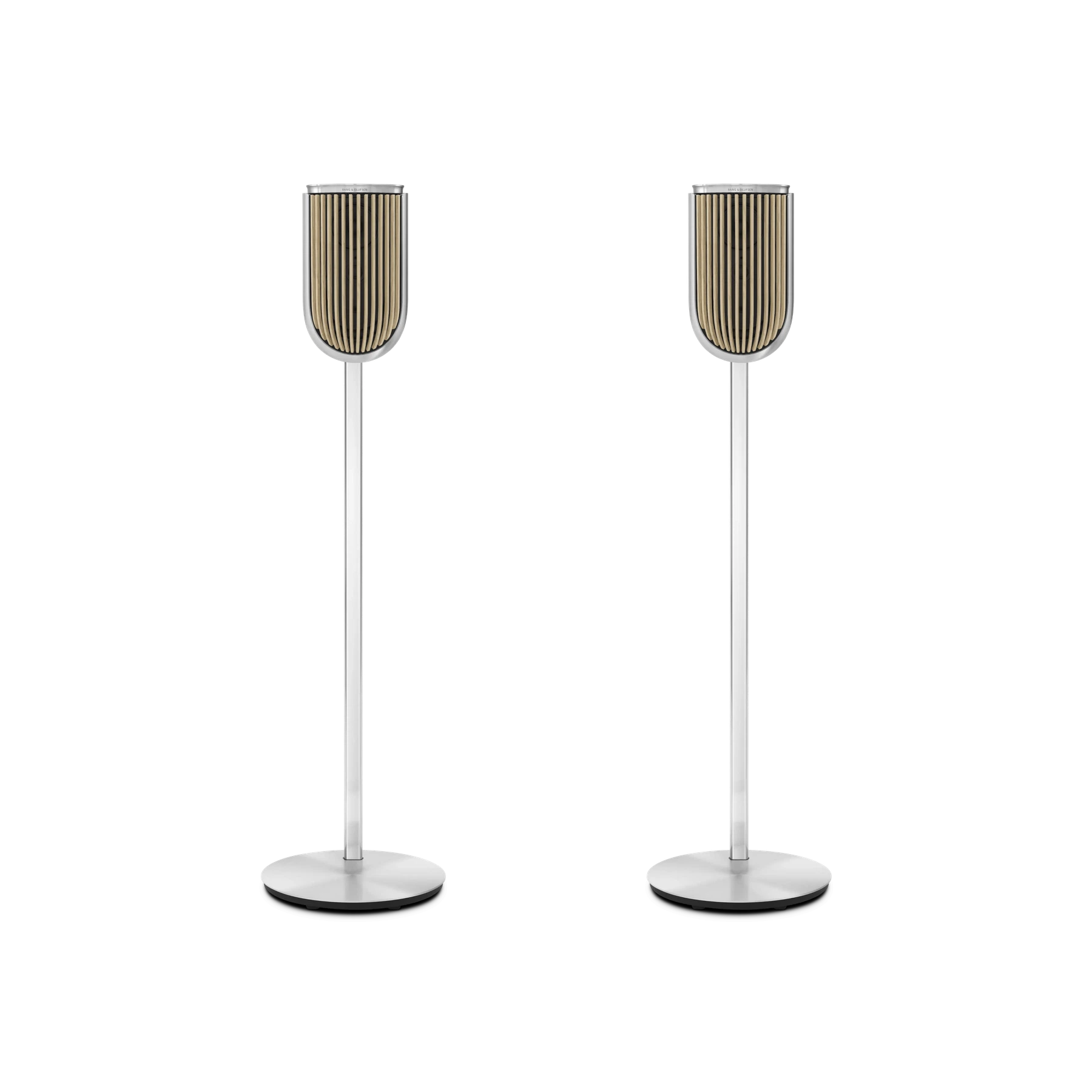 BANG & OLUFSEN Beolab 8 Natūralus aliuminis, Grindinis stovas
