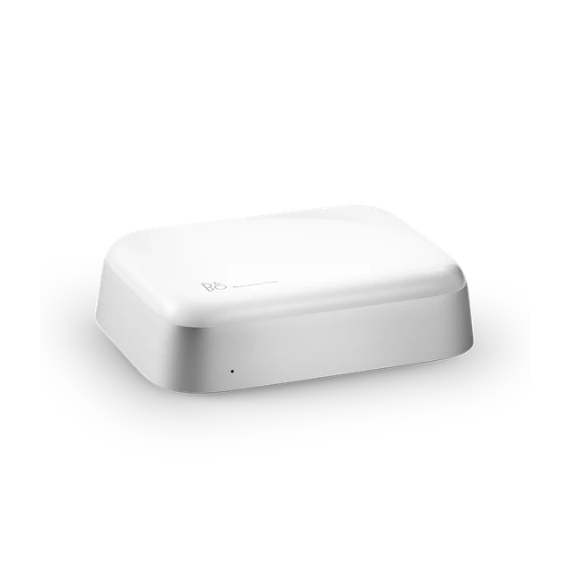 BANG & OLUFSEN Connect Core